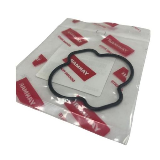 Immagine di 196350-02850 GASKET HOP