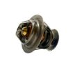 Immagine di 970313177 THERMOSTAT