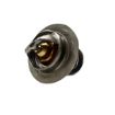 Immagine di 970313177 THERMOSTAT