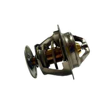 Immagine di 970313177 THERMOSTAT