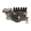 Immagine di 719574-51311 PUMP ASSY, INJECTION 6LYA-STE/P