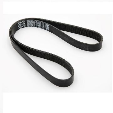 Immagine di 5802350474 CINGHIA POMPA ACQUA