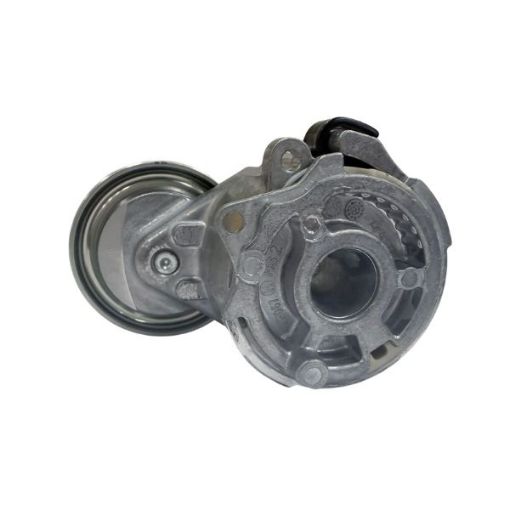 Immagine di 21424647 TENDICINGHIA