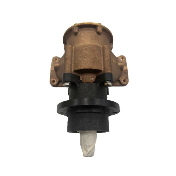 Immagine di 8112445 POMPA ACQUA MARE