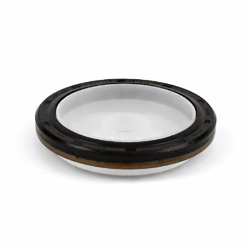 Immagine di 4931561 SEAL,OIL