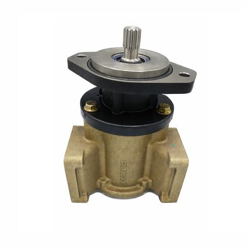Immagine di G2903X PUMP ASSY