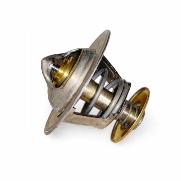 Immagine di 504038890 TERMOSTATO