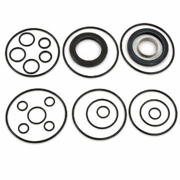 Immagine di 3205199501 SERIE DI GUARNIZIONI