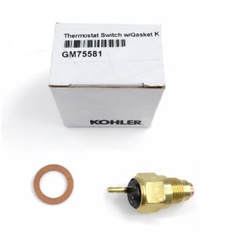 Immagine di GM75581 INTERRUTTORE TERMOSTATO C/GUAR