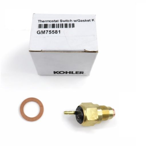 Immagine di GM75581 INTERRUTTORE TERMOSTATO C/GUAR