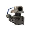 Immagine di 119775-18150C TURBINA 6LPASTP2