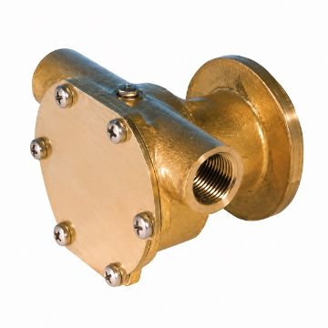 Immagine di ED0065845130-S WATER PUMP LMG4000 ANCOR