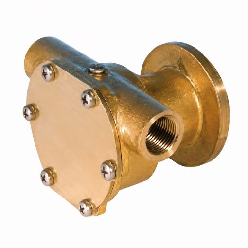 Immagine di ED0065845130-S WATER PUMP LMG4000 ANCOR