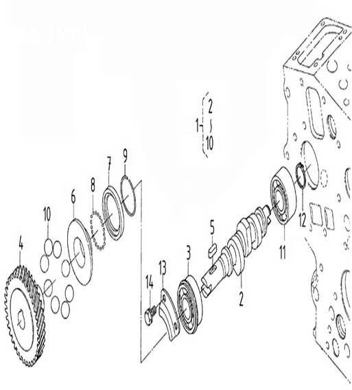 N3.21-N3.21-CF-Camshaft-fuel