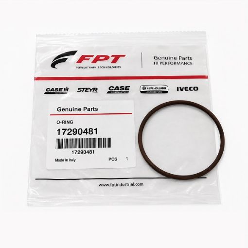 Immagine di 17290481 O-RING