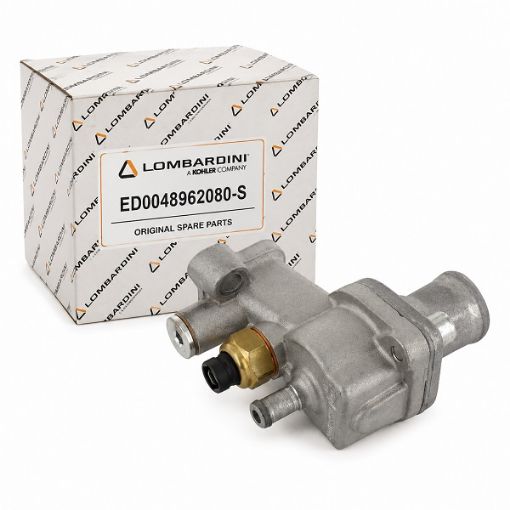 Immagine di ED0048962080-S GRUPPO TERMOSTATO PER MOTORI F