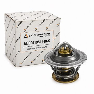 Immagine di ED0091951240-S WATER THERMOSTAT