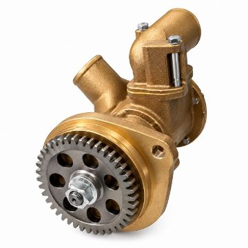 Immagine di 8033072 POMPA ACQUA MARE